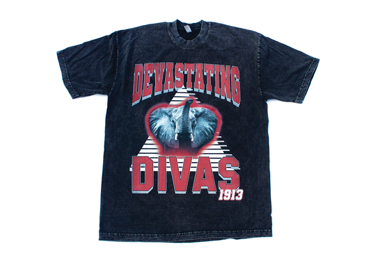 PRE-ORDER Vintage Devastating Divas Shirt