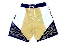 Load image into Gallery viewer, Ice Cold Alphas Swim Trunks