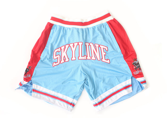 Skyline Raiders